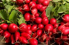 Recipes - Root For The Radish