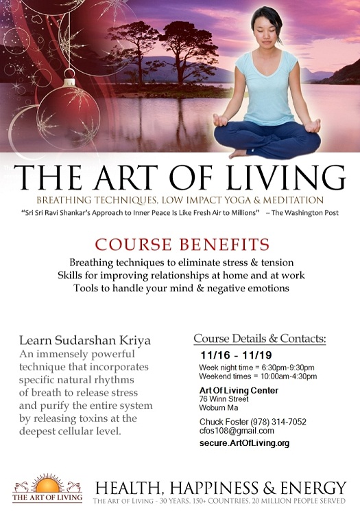 The Art Of Living: Breathing Techniques, Low Impact Yoga And Meditation 