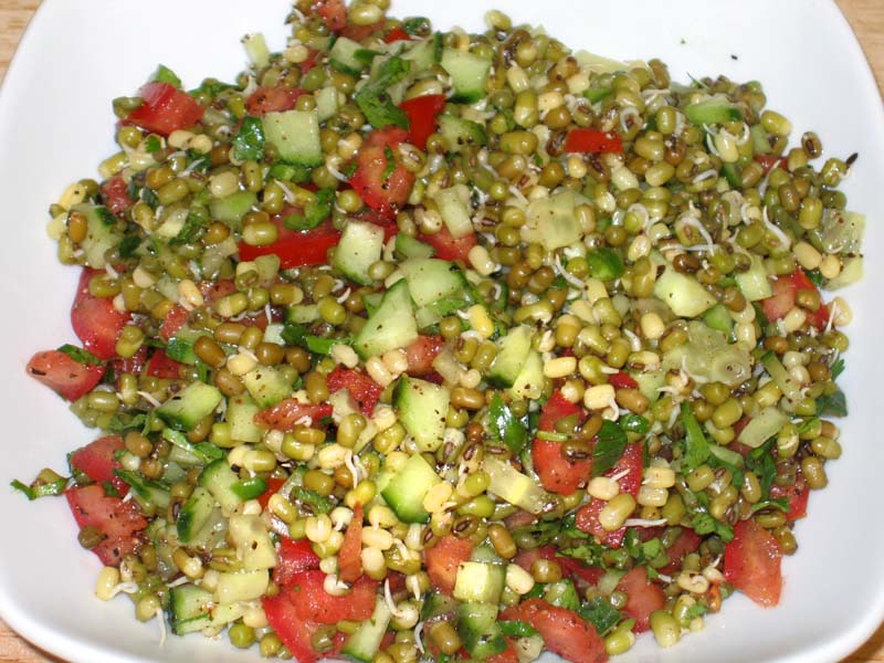 Recipes - The Spendid Sprouts In Naturopathy