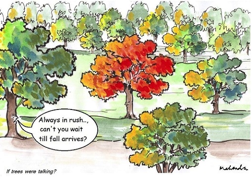 Cartoon: Fall Leaves