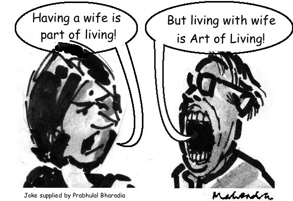 Cartoon: Having A Wife