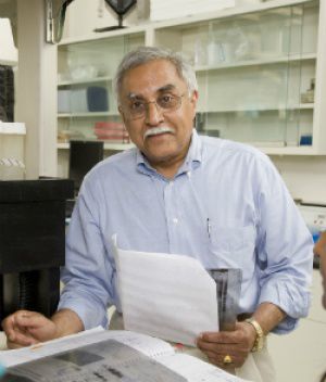 Narayan Avadhani Finds Mitochondrial Stress Can Induce Cancer