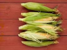 Recipes - Corn Recipes