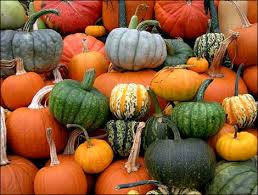 Recipes - Fall And Pumpkins