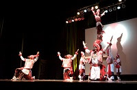 Boston Bhangra Competition 2016 