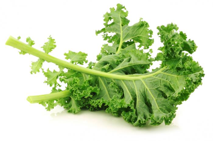 Recipes - Kale Is Cool