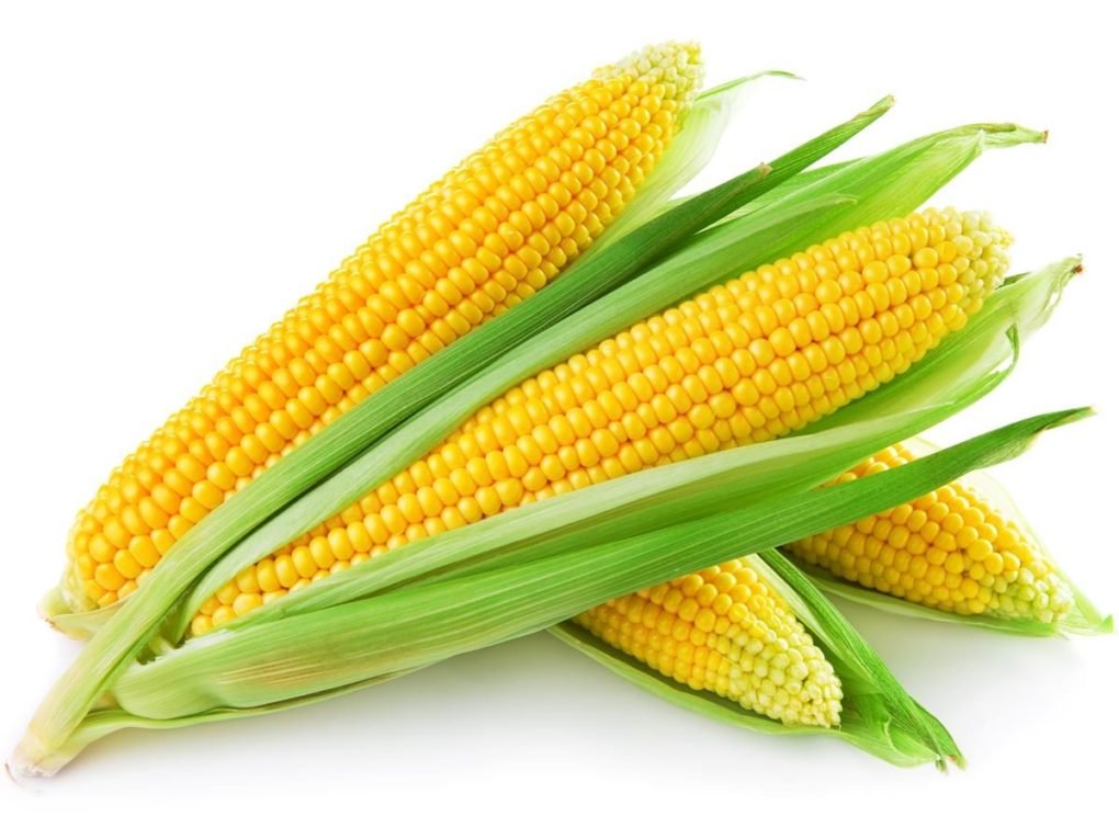 Recipes - Corn