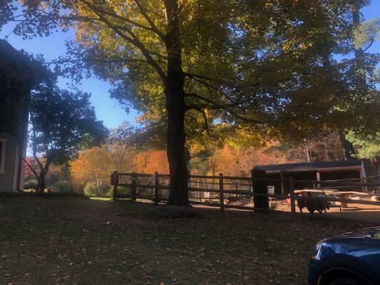 A Day Long Yoga And Meditation Retreat At A Sanctuary In Sherborn, MA