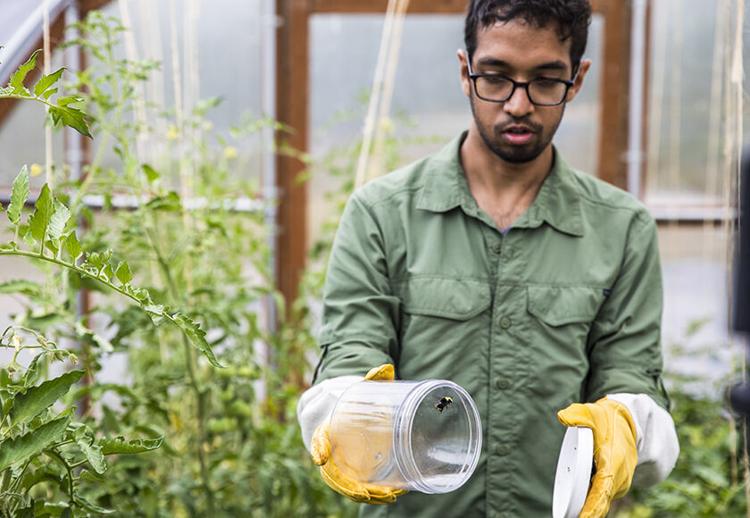 Vikram Iyer Named 2020 Marconi Society Paul Balan Young Scholar