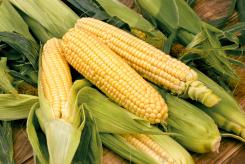 Recipes - Corn