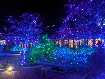 Diwali Lights At Tower Hill Botanical Gardens