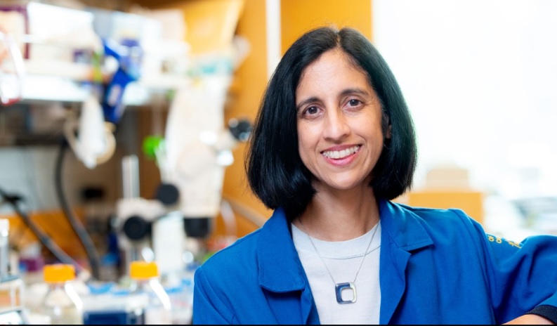 Tejal Desai Named Brown School Of Engineering Dean