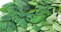 Recipes: Moringa Leaves Dal