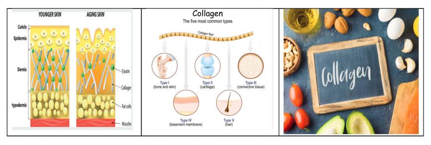 Know What Foods Boost Collagen Production