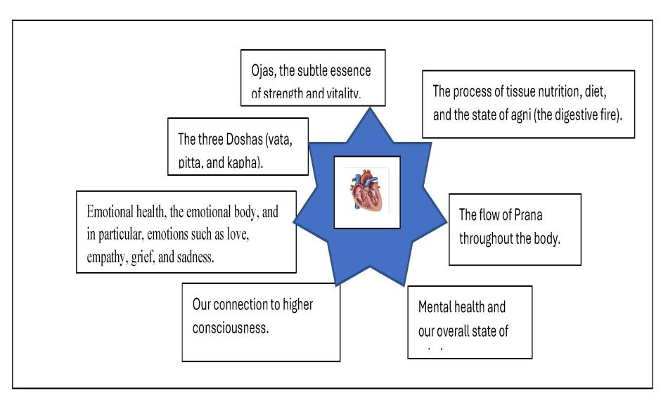 Know Ayurvedic Therapies To Avoid Heart Attacks