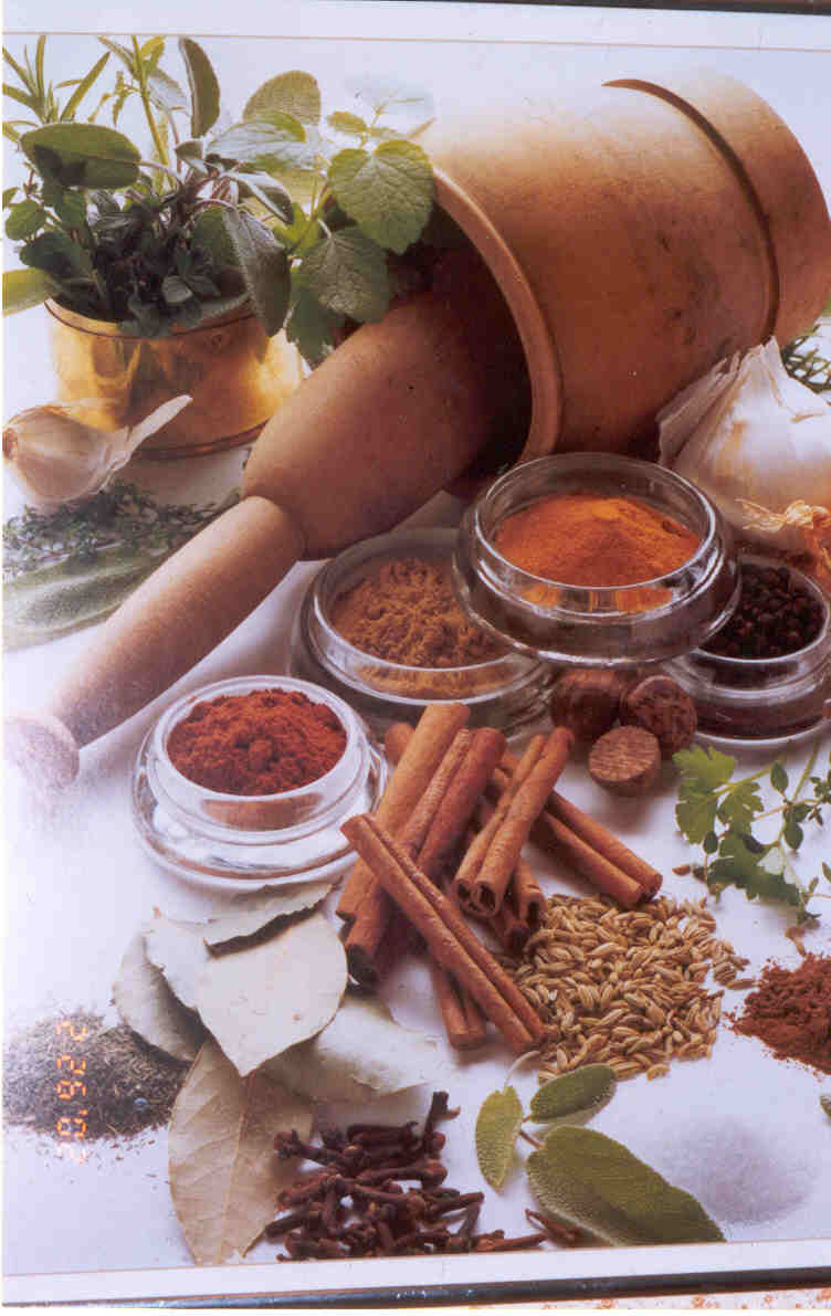 Recipes - Salads