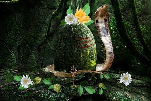 Nag Panchami Informative And Quiz