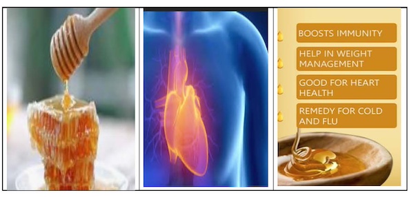 Know The Uses Of Honey For Building A Healthy Heart 