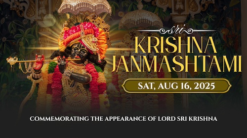 Sri Radha Damodara Mandir: Sri Krishna Janmasthami
