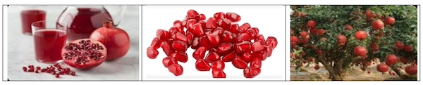 Pomegranate: A Cardiotonic