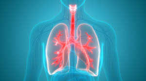 Understanding Pulmonary Diseases: A Guide To Respiratory Health