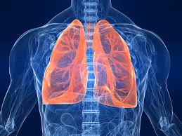 Lung Diseases And Their Impact On Daily Life
