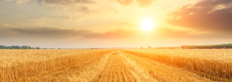 Year-end Tax-planning Tips For 2025