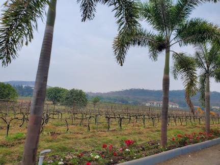 Picture Of The Fortnight