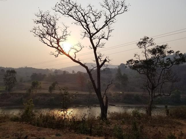 Picture Of The Fortnight