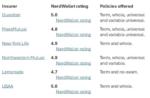 4 Main Types Of Life Insurance, And How To Choose In 2026