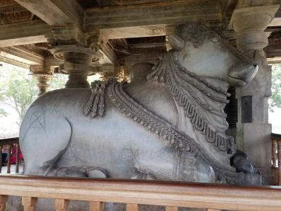 Picture Of The Fortnight