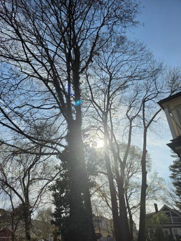 Picture Of The Fortnight