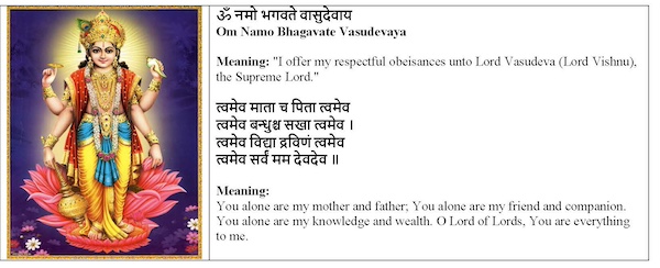 Yogini Ekadashi - A Sacred Opportunity For Spiritual Cleansing And Divine Grace