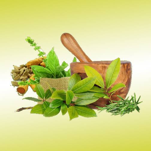Know Ayurvedic Effective Remedies And Management Of Chronic Pulmonary Edema