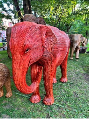 “Walk With The Giants” Brings Community Together For A Walk<br>With Renowned Conservationist Dr. Kamal Bawa